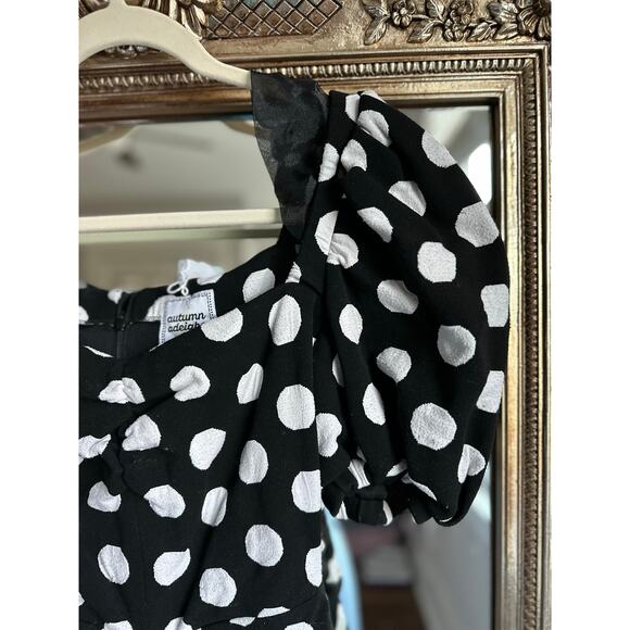 Autumn Adeigbo Bianca Polka Dot Mini Dress Size 6 - Picture 5 of 7